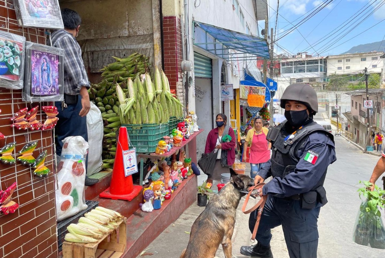 Proximidad Social Caracteriza A Elementos De La Policía Municipal De ...